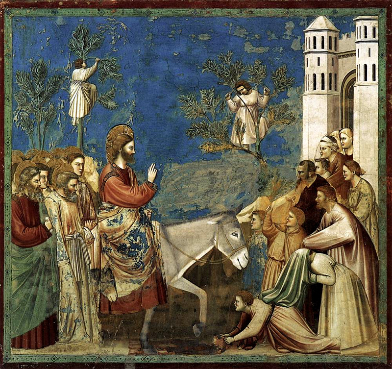 palmSundayGiotto