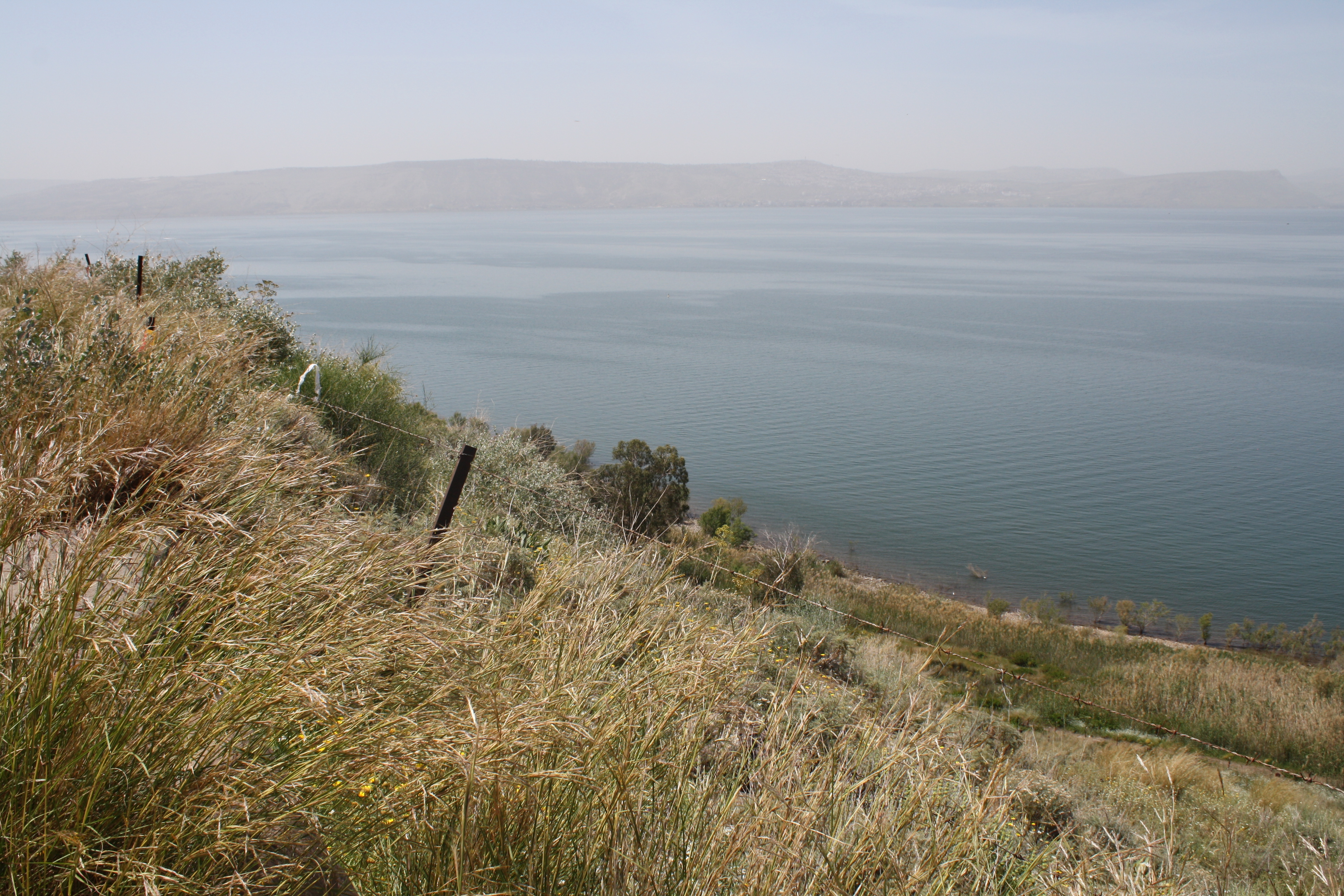 pig-hill-first-presbyterian-church-of-strasburg