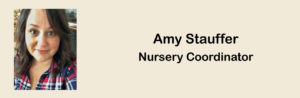 Amy Index Strip