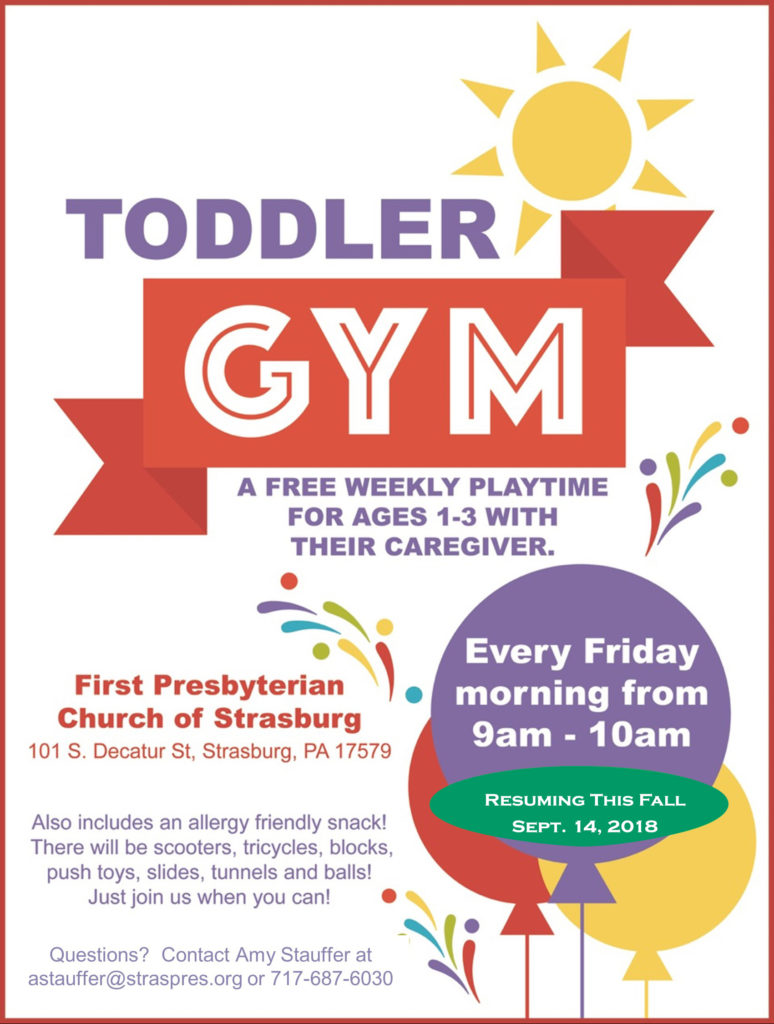 Toddler Gym Summer Resuming